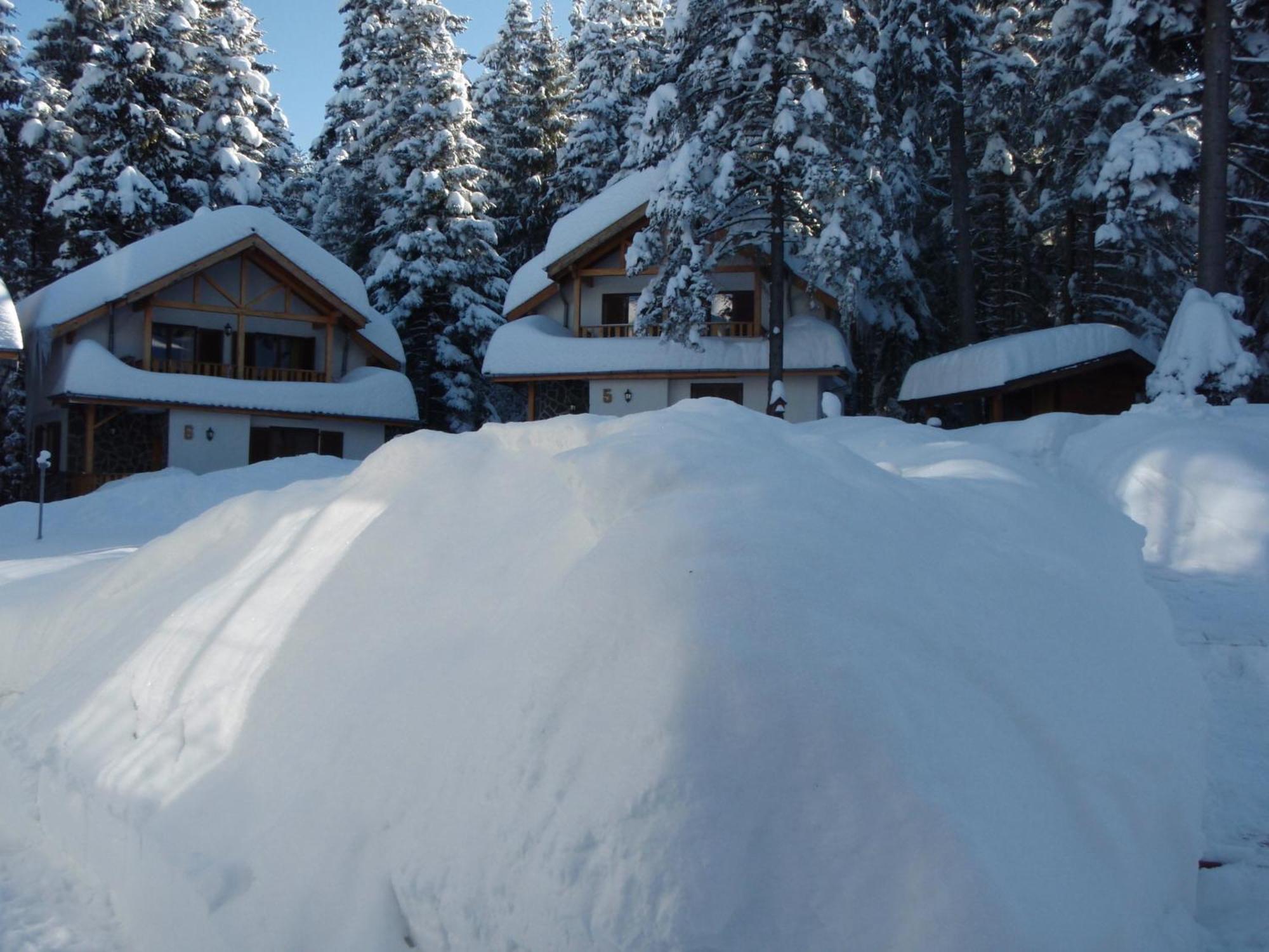 Saint George Holiday Village Borovets Exterior foto