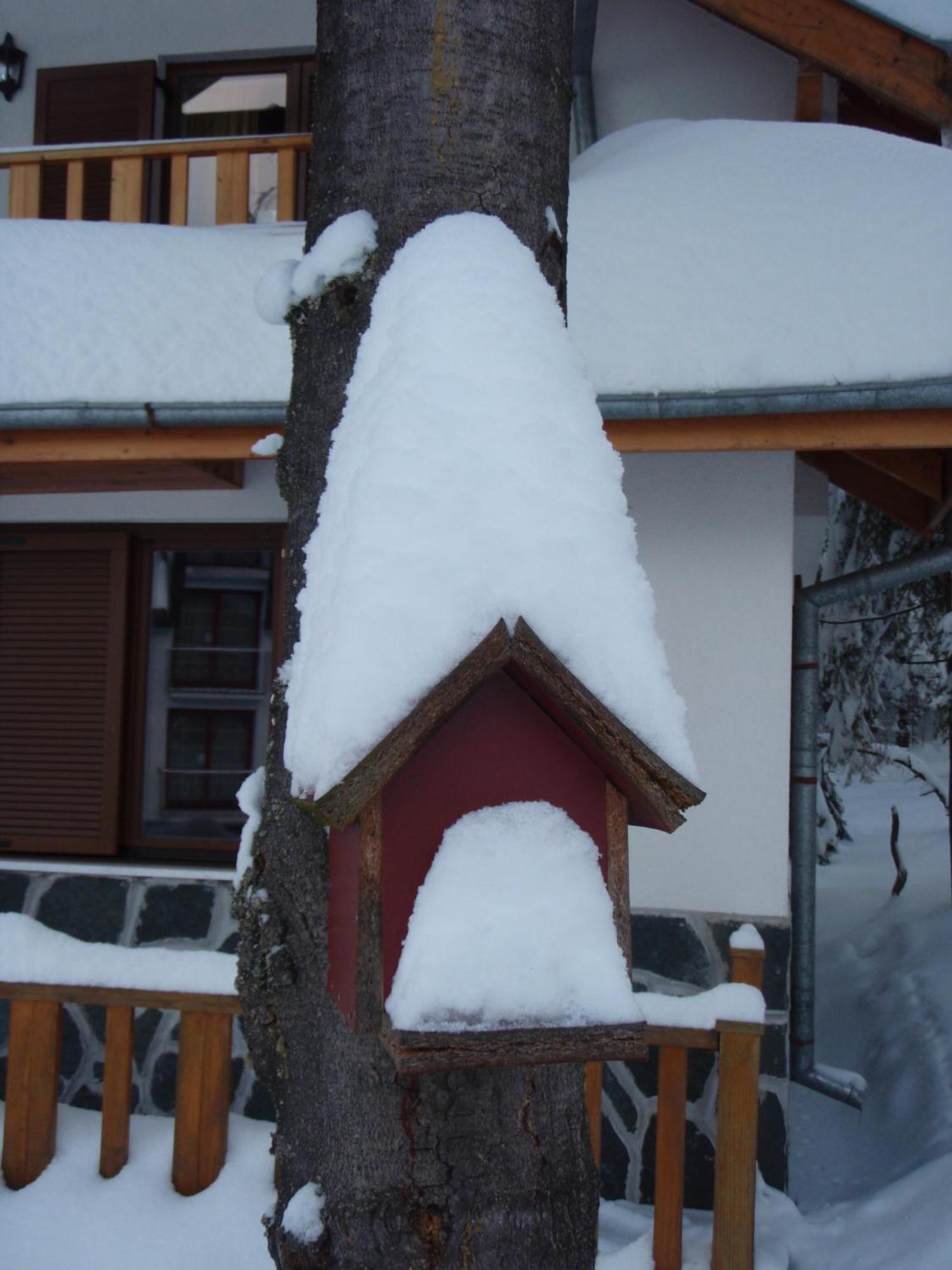 Saint George Holiday Village Borovets Exterior foto