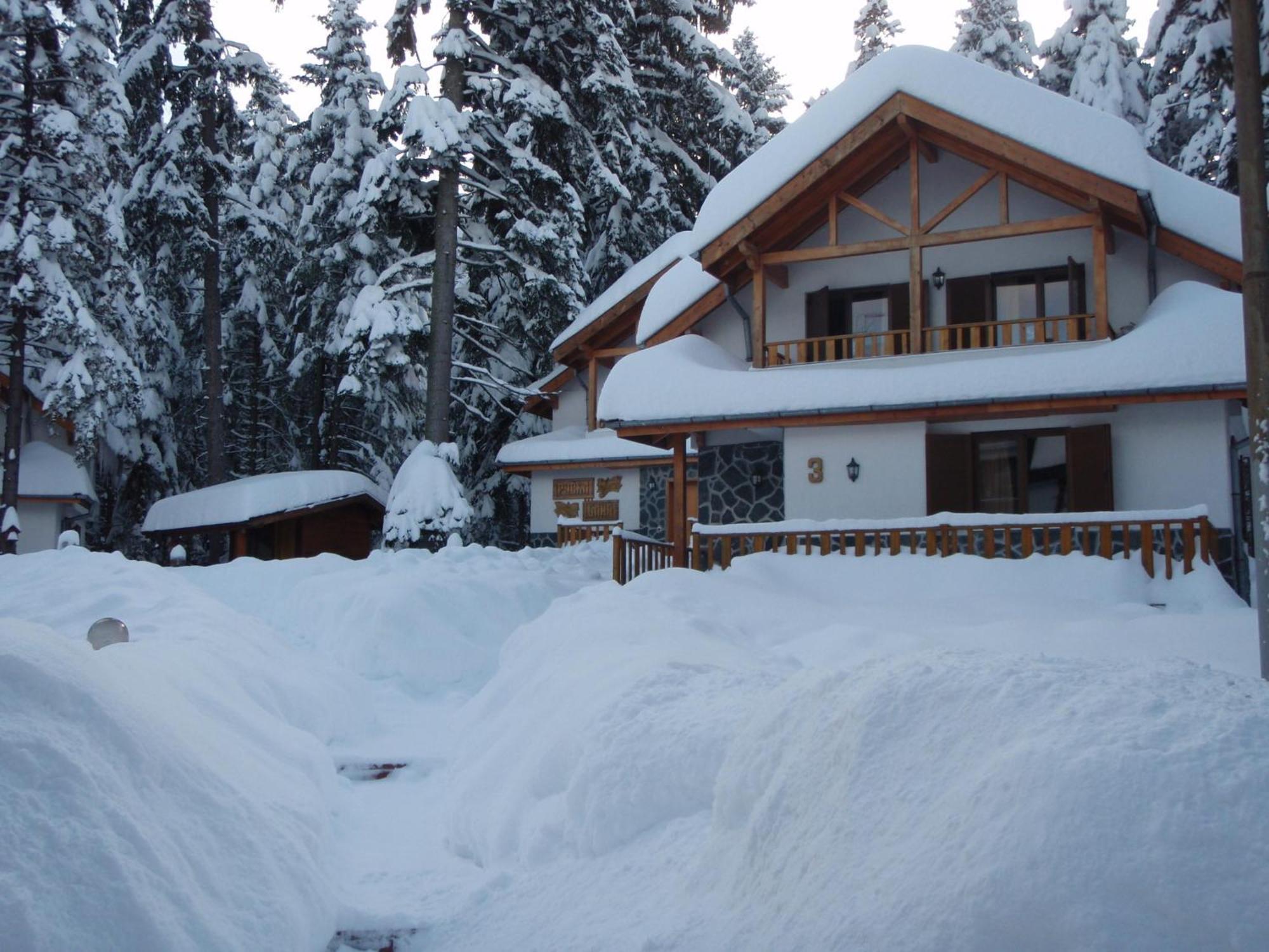 Saint George Holiday Village Borovets Exterior foto