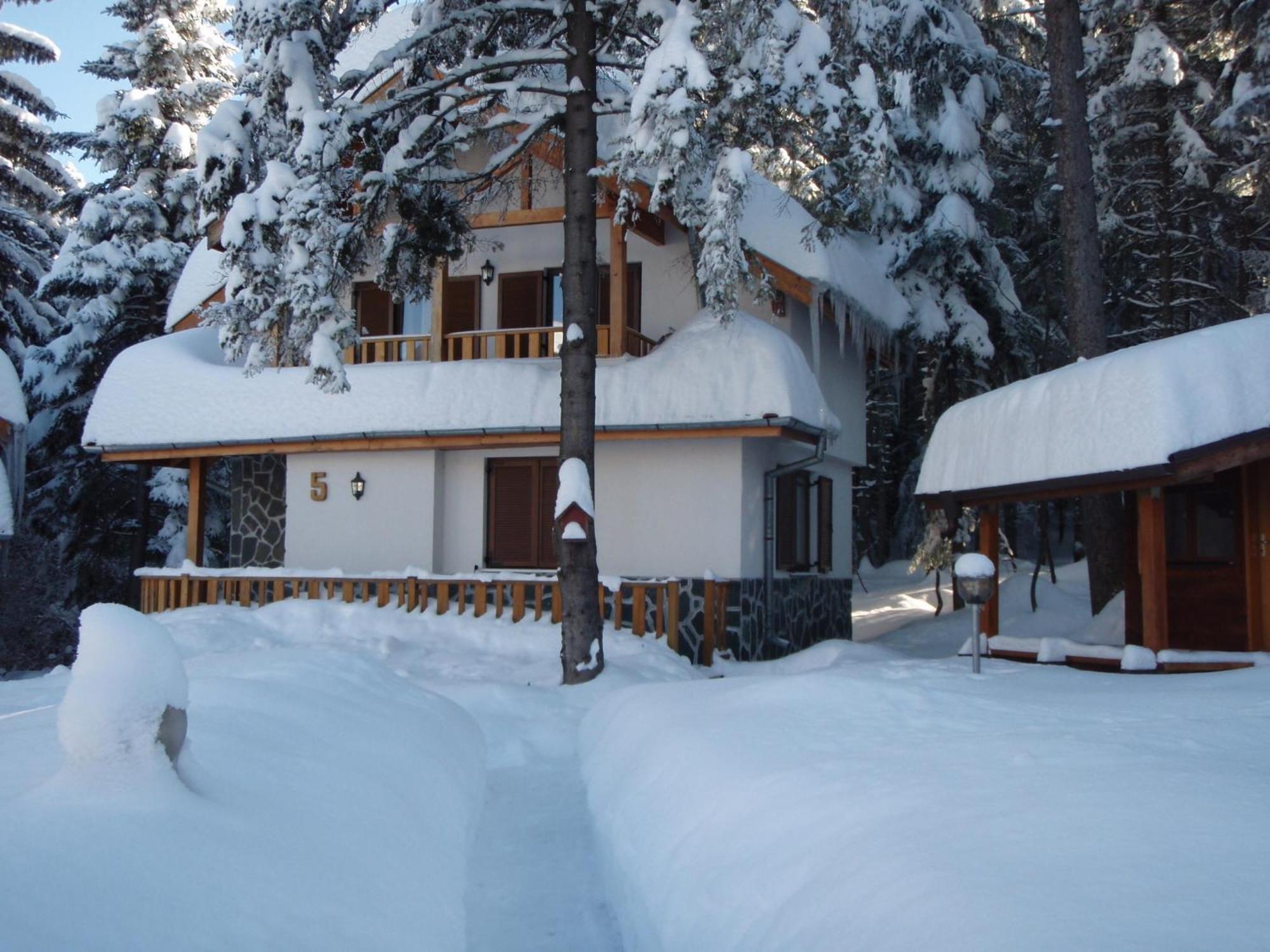 Saint George Holiday Village Borovets Exterior foto