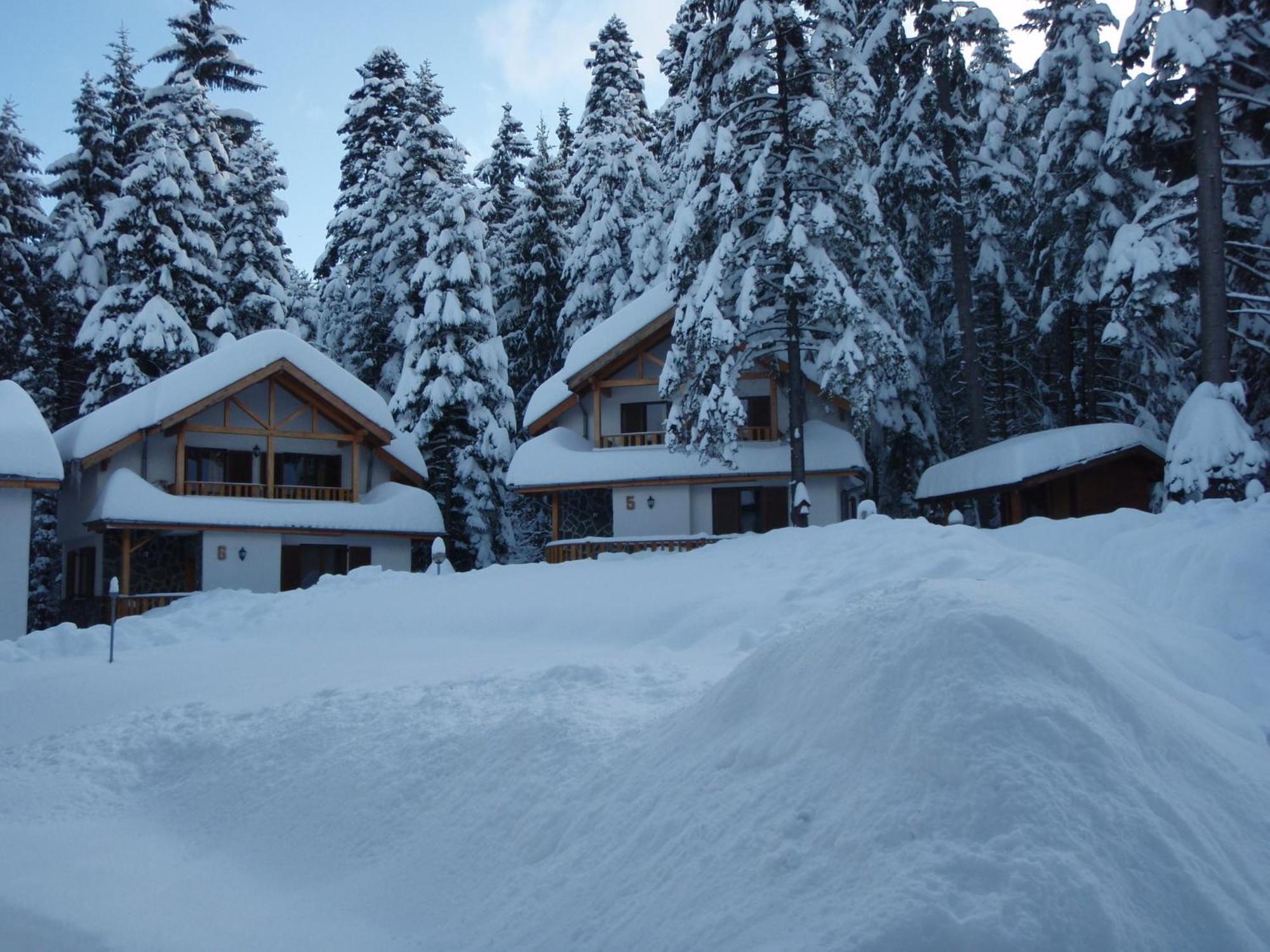 Saint George Holiday Village Borovets Exterior foto