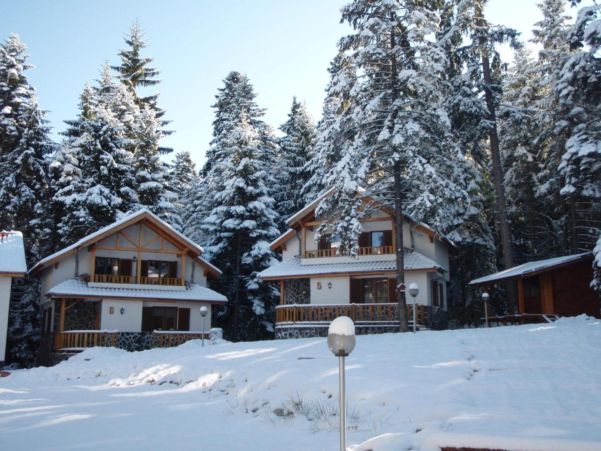 Saint George Holiday Village Borovets Exterior foto