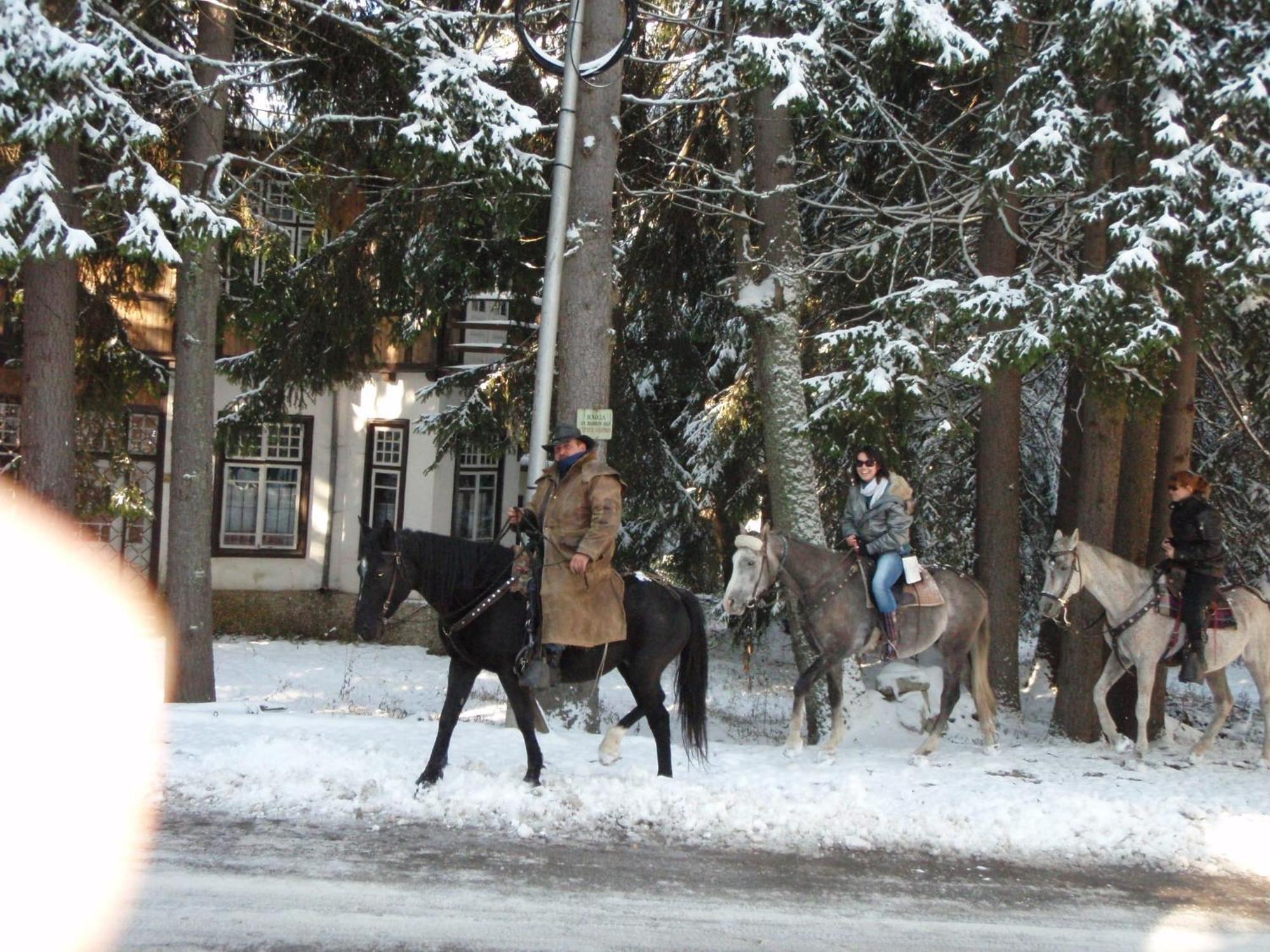 Saint George Holiday Village Borovets Exterior foto